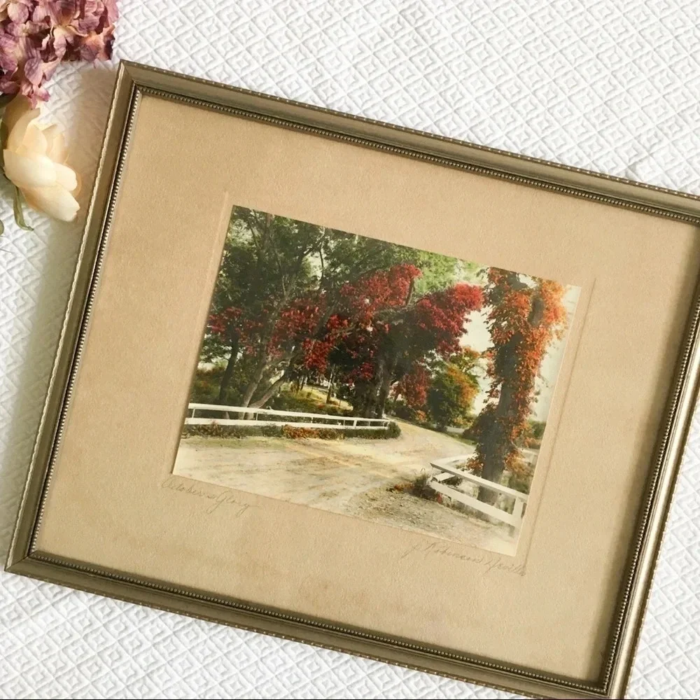 Vintage J. Robinson Neville “October’s Glory” photo